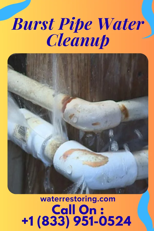 Burst Pipe Water Cleanup in Woodworth, OH