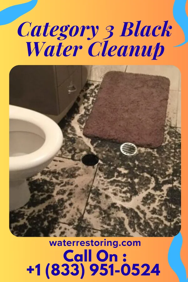 Category 3 Black Water Cleanup in Woodworth, OH