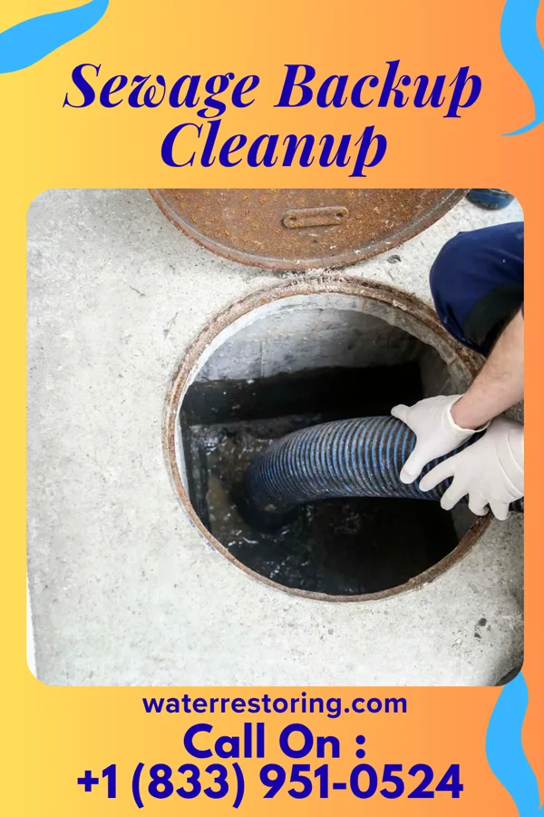 Sewage Backup Cleanup in Woodworth, OH